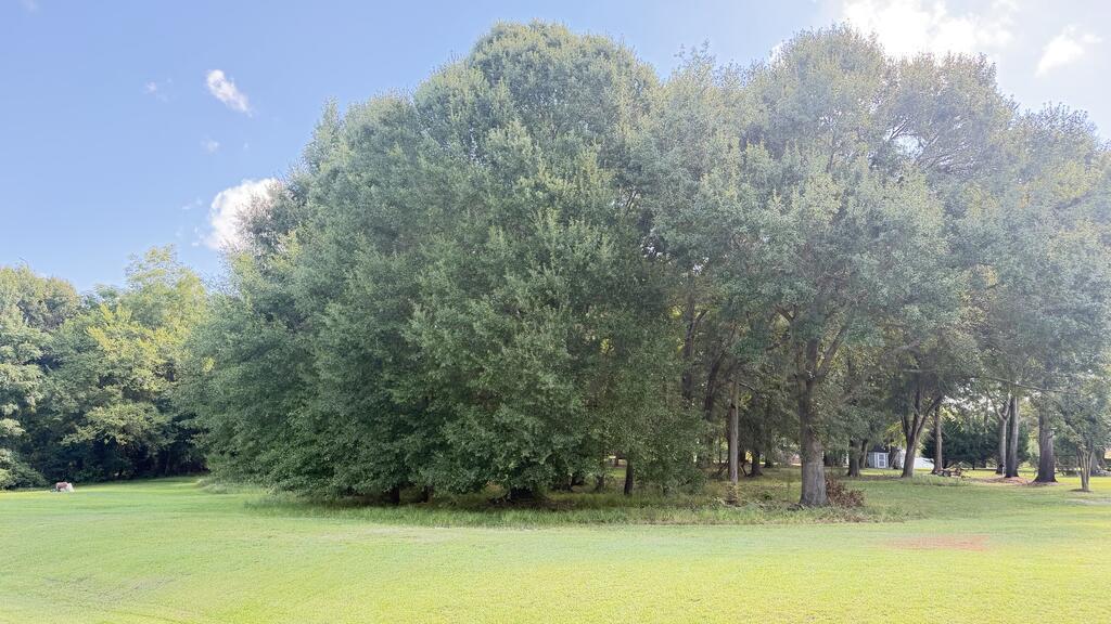Lot 37 Delores Drive