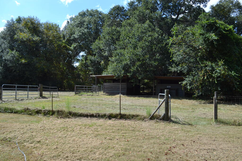 130 Winifred Rd