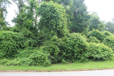 Photo of 4501 La Costa Drive, Albany, GA 31721 (MLS # 165362)