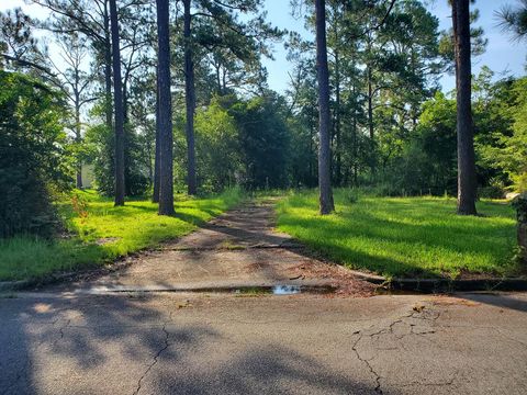 Photo of 310 Ingleside Drive N Dr, Albany, GA 31707 (MLS # 167252)