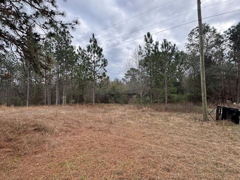 Photo of 7225 Beulah Lane, Baconton, GA 31779 (MLS # 167661)