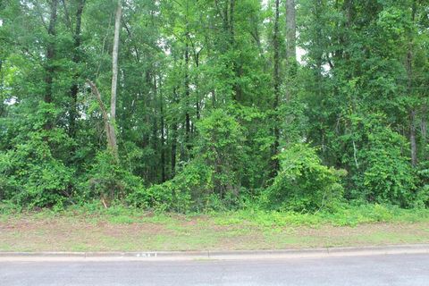 Photo of 300 Turnberry Ct, Albany, GA 31721 (MLS # 165357)
