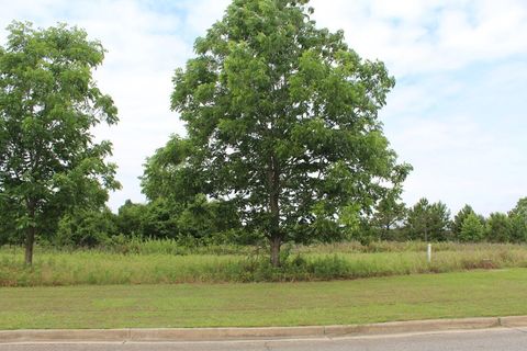 Photo of 181 Stonegate Drive, Albany, GA 31721 (MLS # 165436)