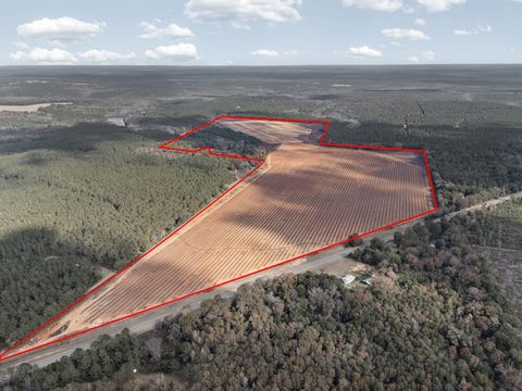 Photo of 00 Hwy 41, Shellman, GA 39886 (MLS # 167173)