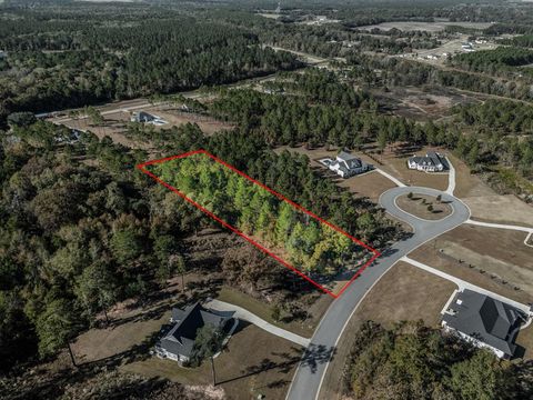 Photo of 241 Partridge Circle, Leesburg, GA 31763 (MLS # 167138)