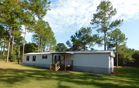 Photo of 9765 Morey Hill Rd, Albany, GA 31705 (MLS # 167411)