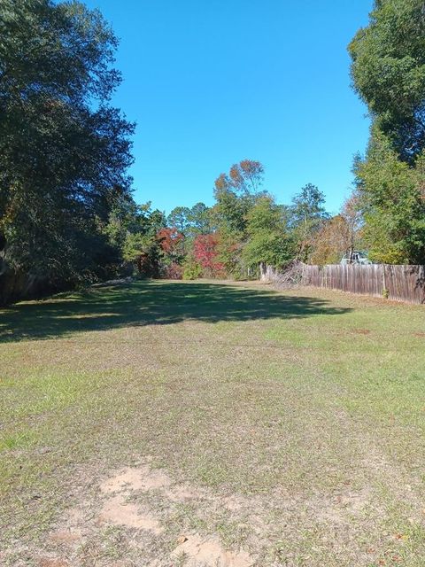 Photo of 192 Creekside Drive, Leesburg, GA 31763 (MLS # 167097)