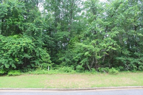 Photo of 321 Ironhorse Court, Albany, GA 31721 (MLS # 165373)