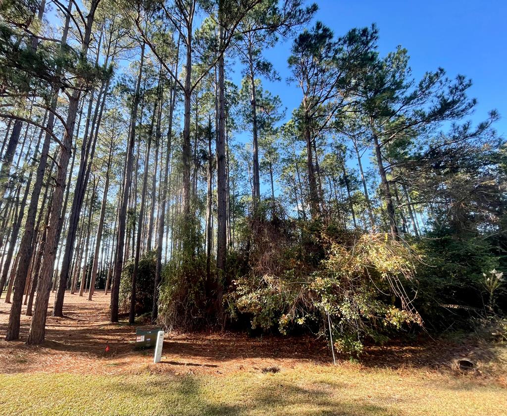 115 Northlake Drive