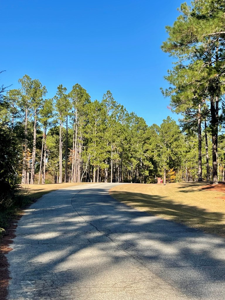 115 Northlake Drive