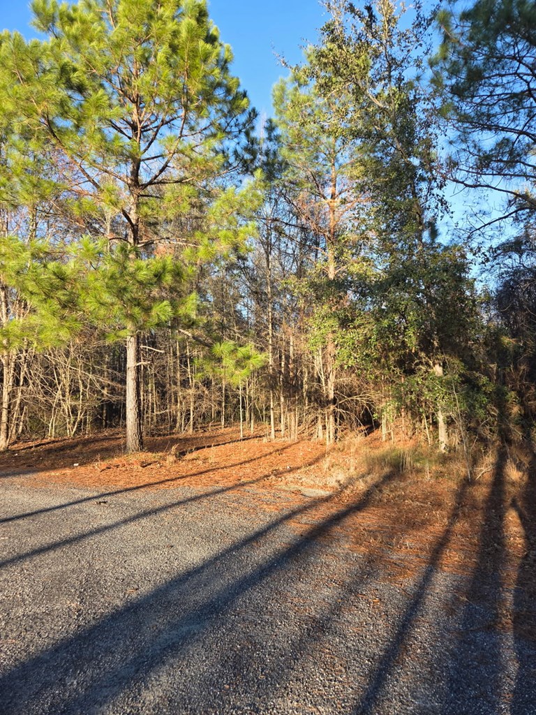 na Pine Trail