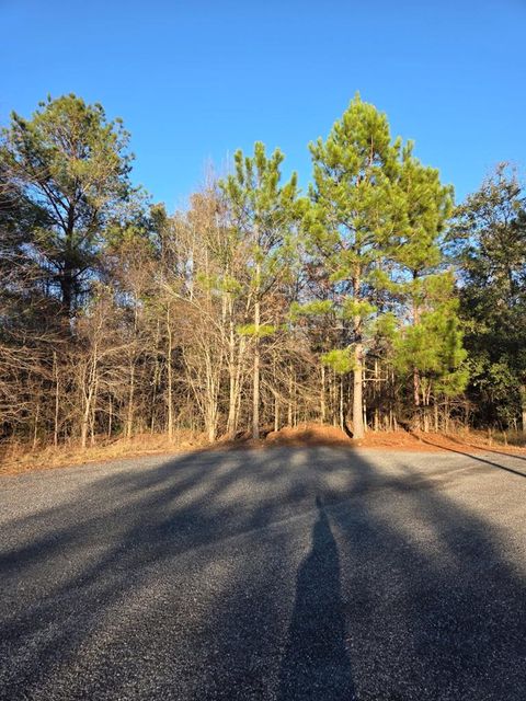 Photo of na Pine Trail, Sylvester, GA 31791 (MLS # 167414)