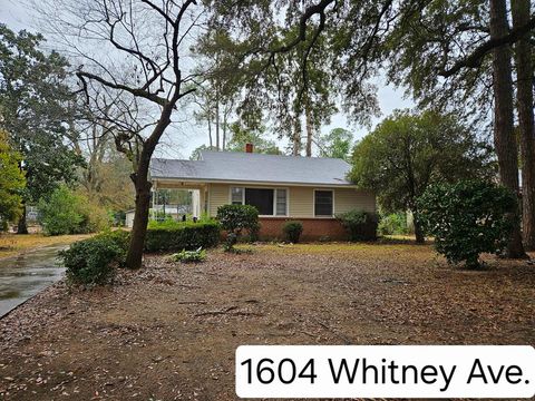 Photo of 1604 Whitney Avenue, Albany, GA 31707 (MLS # 167197)