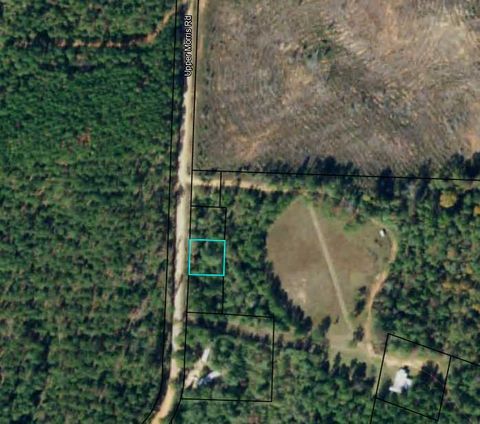 Photo of 99 Night Shift Road, Morris, GA 39867 (MLS # 167404)