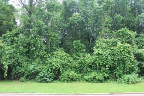 Photo of 308 Ironhorse Court, Albany, GA 31721 (MLS # 165382)