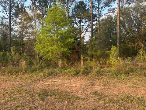 Photo of 119 Partridge Circle, Leesburg, GA 31763 (MLS # 168825)