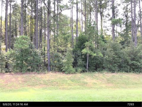 Photo of LOT 134 Aspen Drive, Leesburg, GA 31763 (MLS # 166925)