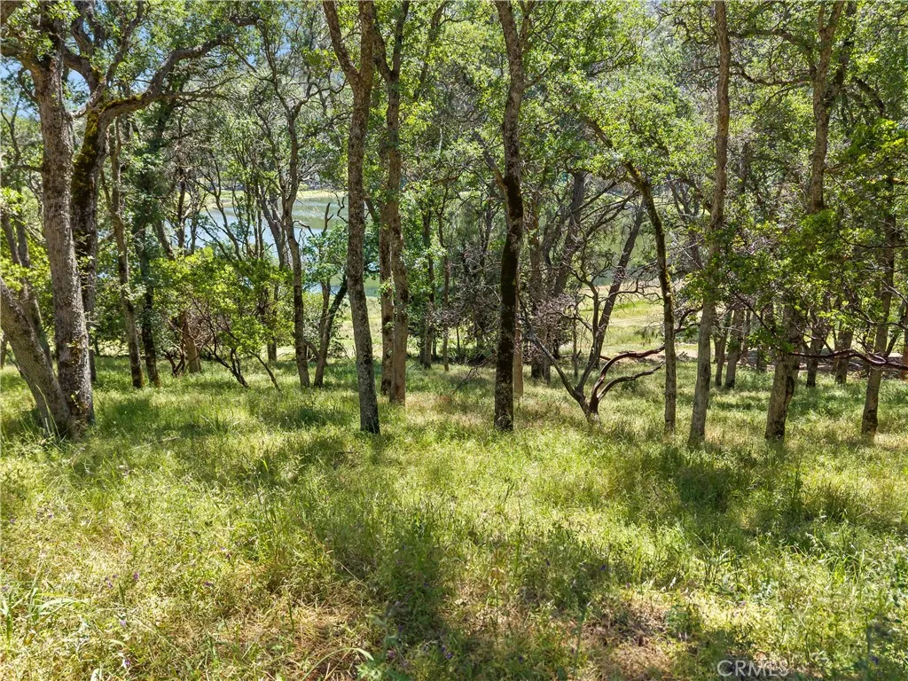 Additional image 39 of 8239 Little Borax Lake Rd, Kelseyville, CA 95451