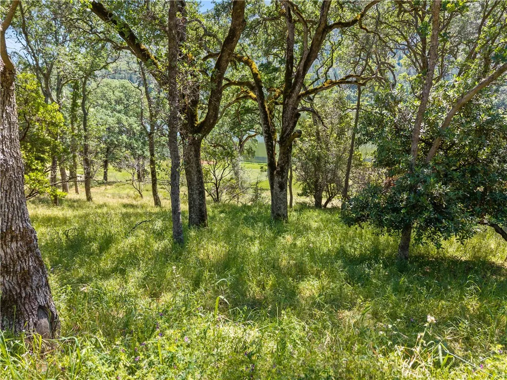 Additional image 15 of 8239 Little Borax Lake Rd, Kelseyville, CA 95451