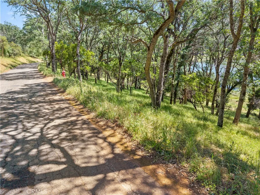 Additional image 42 of 8239 Little Borax Lake Rd, Kelseyville, CA 95451