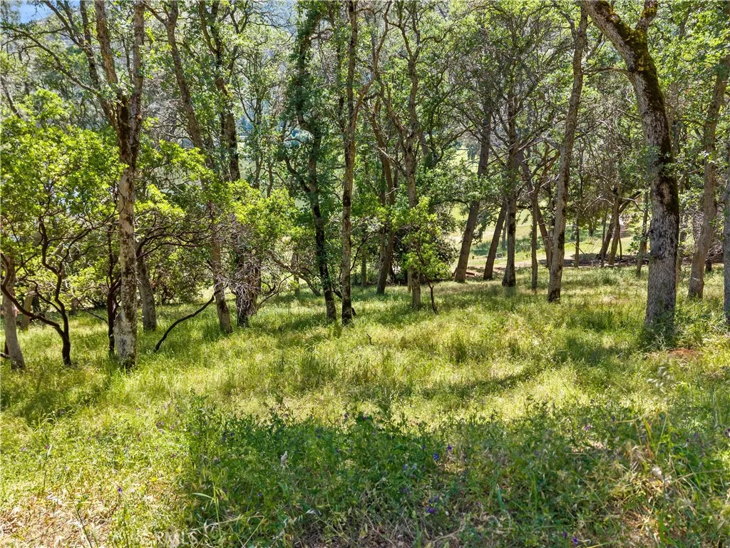 Additional image 41 of 8239 Little Borax Lake Rd, Kelseyville, CA 95451