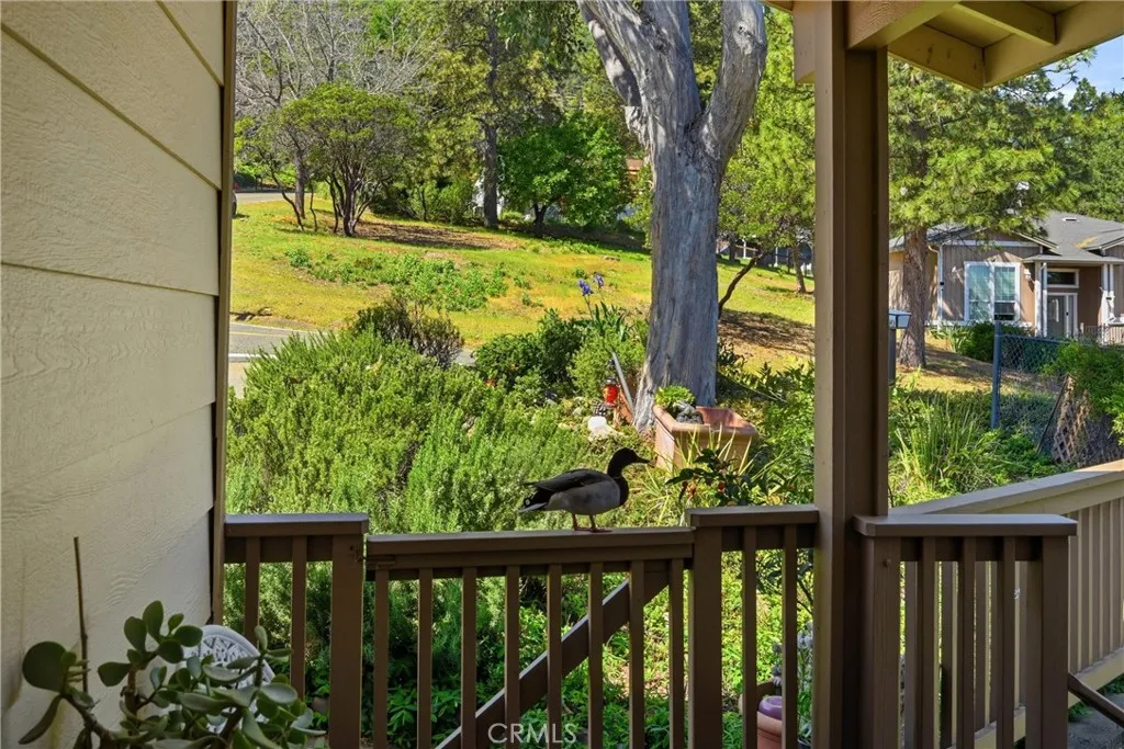 Additional image 33 of 3590 Idlewood Drive, Kelseyville, CA 95451