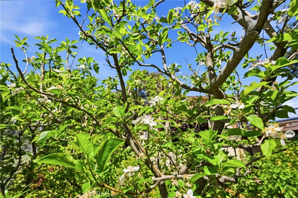 Additional image 41 of 3590 Idlewood Drive, Kelseyville, CA 95451