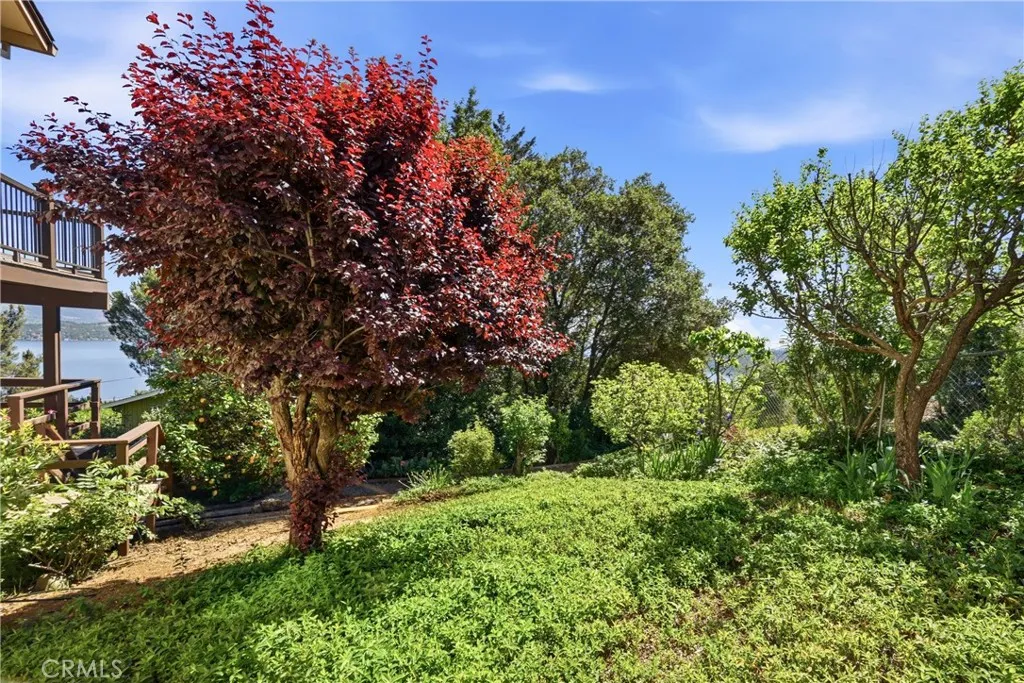 Additional image 46 of 3590 Idlewood Drive, Kelseyville, CA 95451