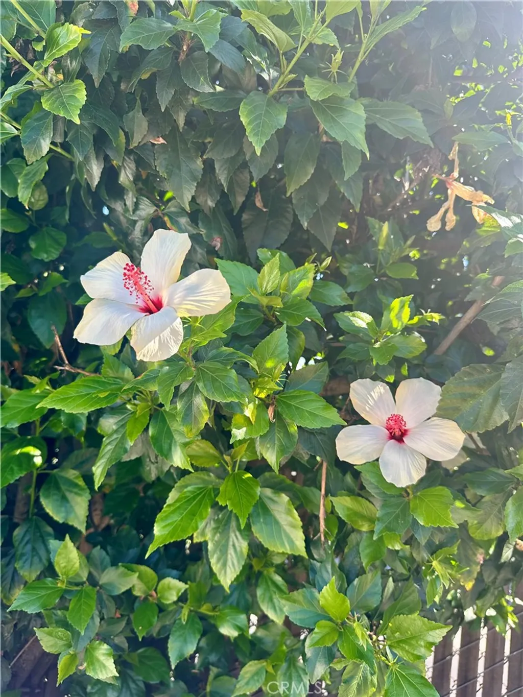 Additional image 38 of 13608 Yukon Avenue, Hawthorne, CA 90250