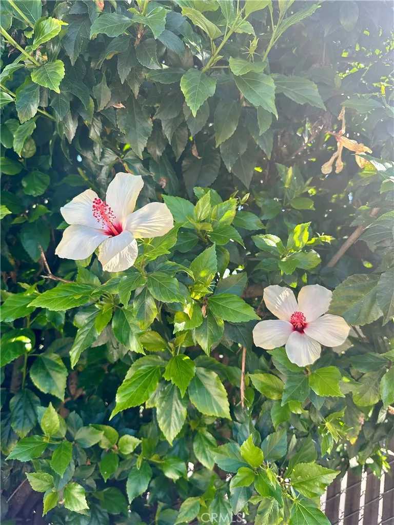 Additional image 76 of 13608 Yukon Avenue, Hawthorne, CA 90250