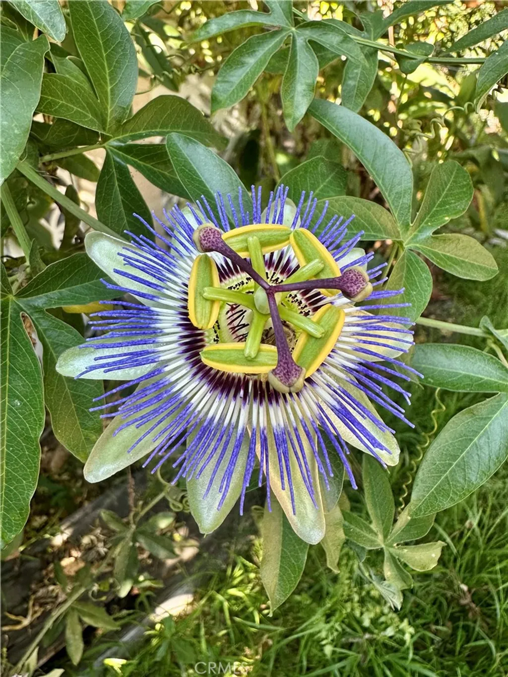 Additional image 37 of 13608 Yukon Avenue, Hawthorne, CA 90250