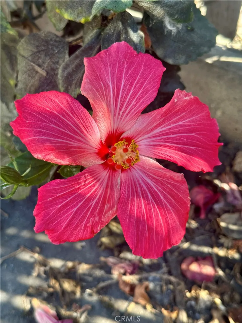 Additional image 39 of 13608 Yukon Avenue, Hawthorne, CA 90250