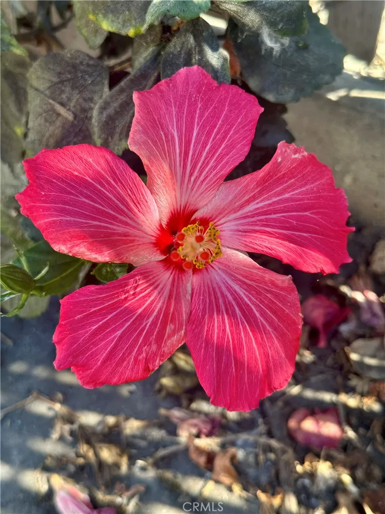 Additional image 77 of 13608 Yukon Avenue, Hawthorne, CA 90250