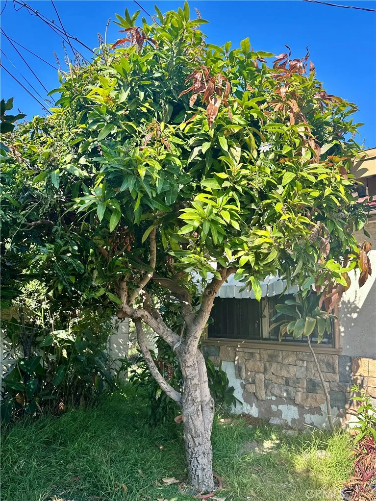 Additional image 74 of 13608 Yukon Avenue, Hawthorne, CA 90250