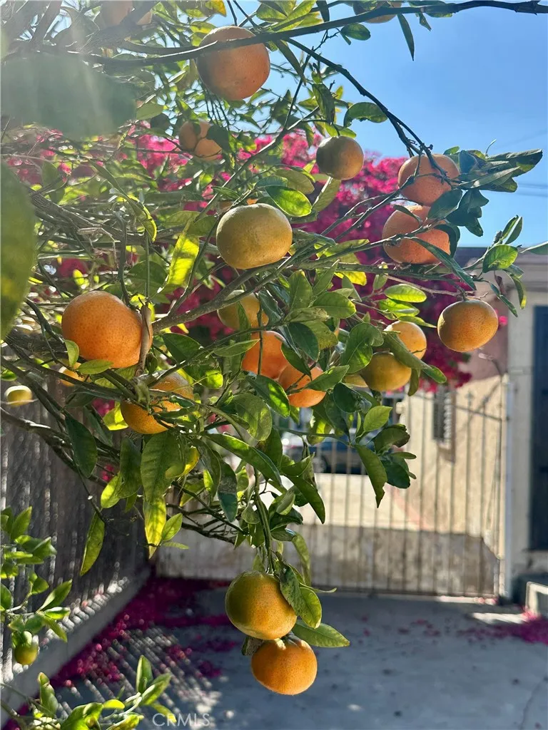 Additional image 78 of 13608 Yukon Avenue, Hawthorne, CA 90250