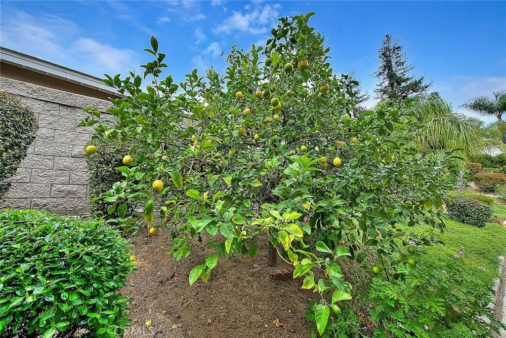 Additional image 52 of 14637 Chisholm Trail, Chino Hills, CA 91709