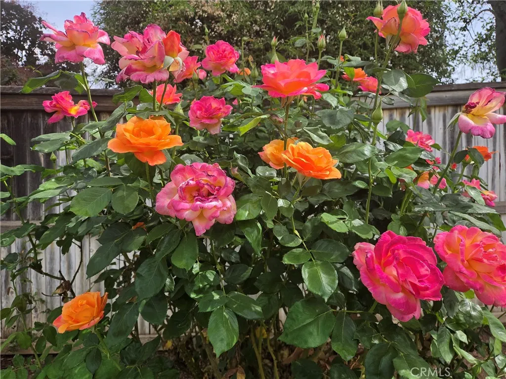 Additional image 53 of 1140 N Shooting Star Drive, Beaumont, CA 92223