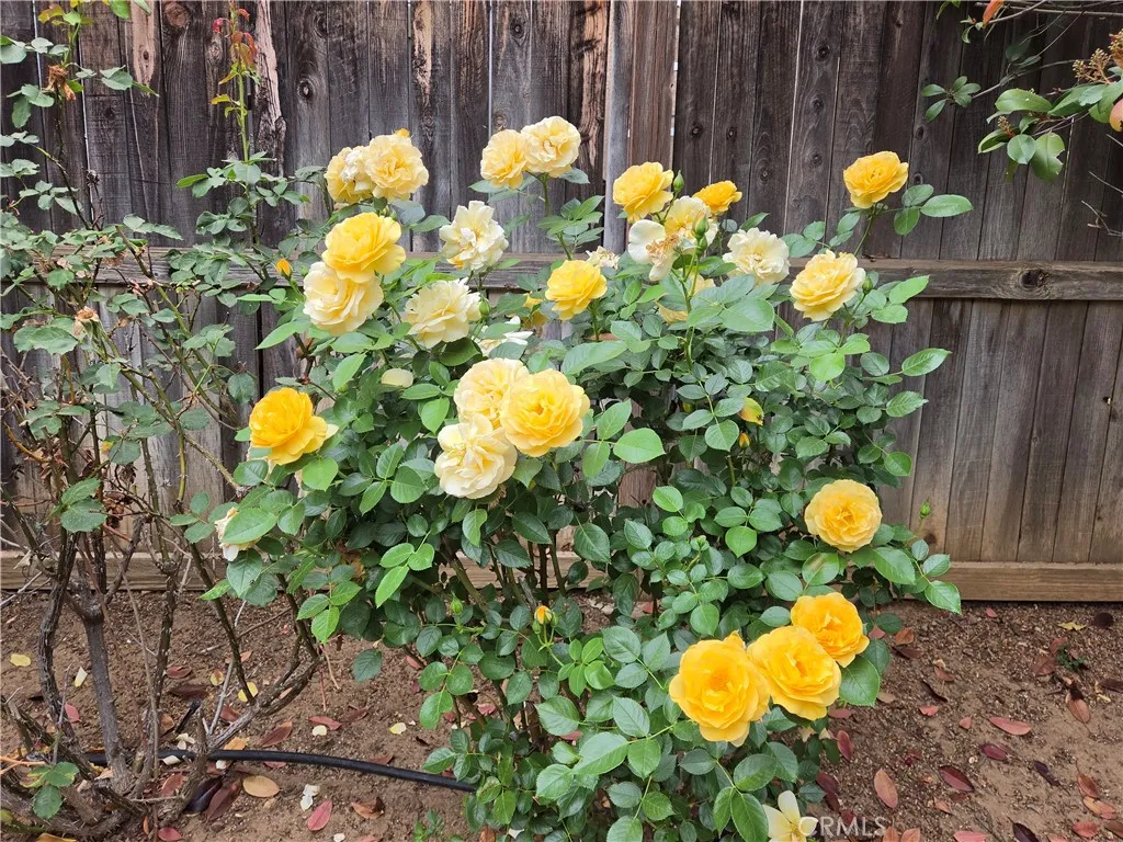 Additional image 52 of 1140 N Shooting Star Drive, Beaumont, CA 92223