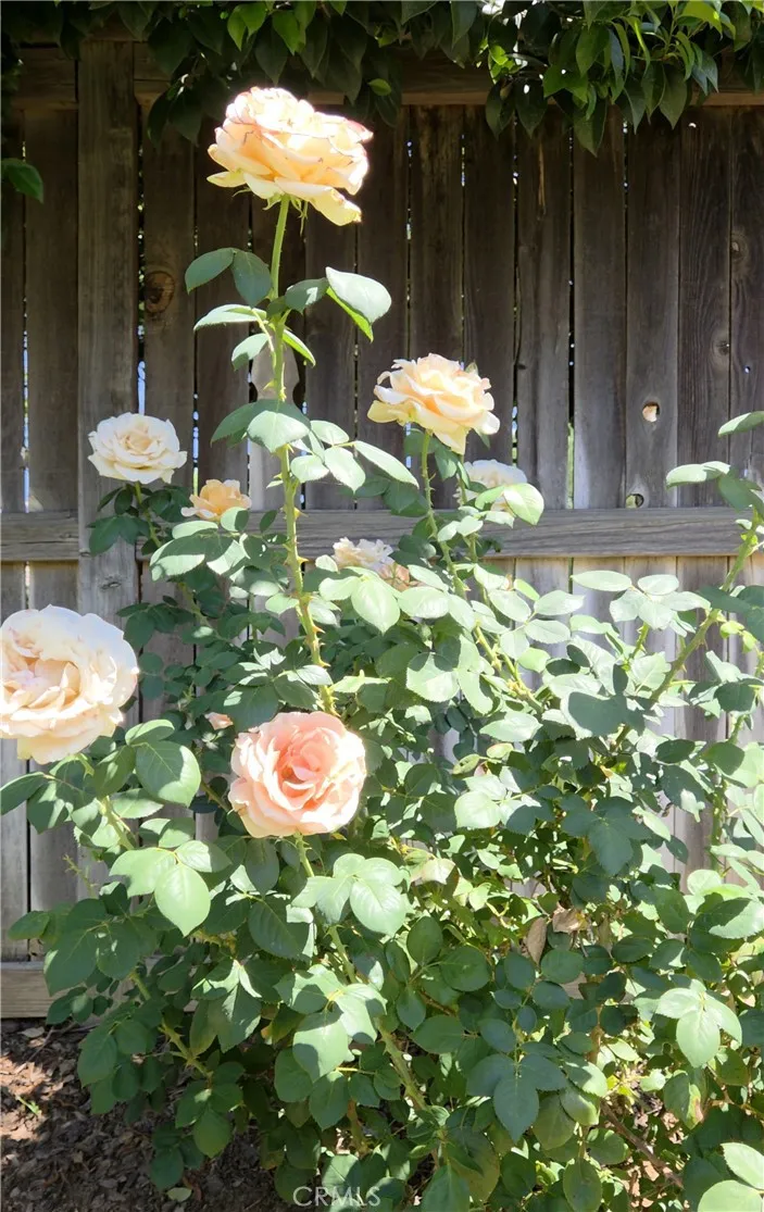 Additional image 50 of 1140 N Shooting Star Drive, Beaumont, CA 92223