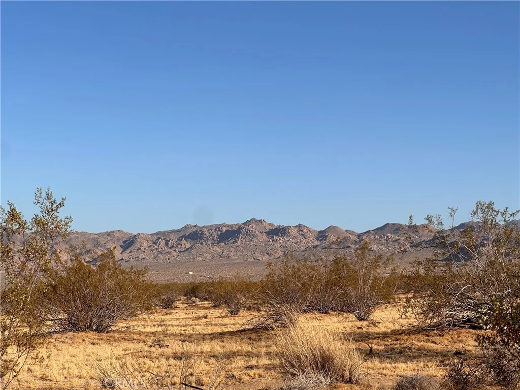 Additional image 17 of La Ferney, Joshua Tree, CA 92252