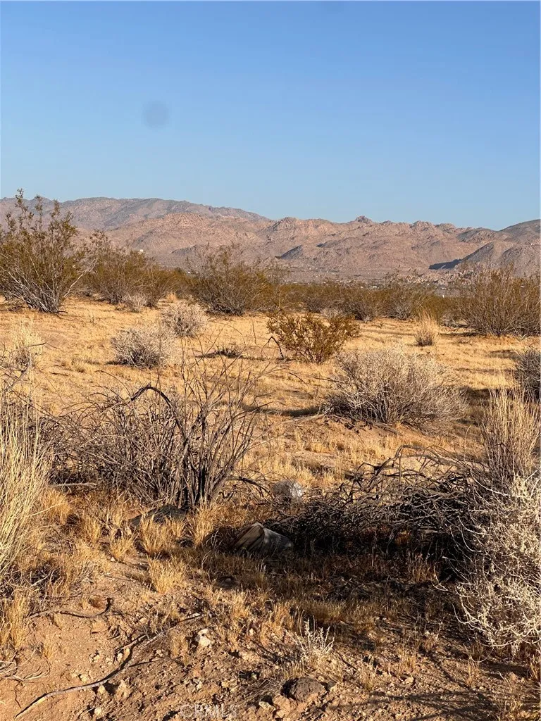 Additional image 16 of La Ferney, Joshua Tree, CA 92252