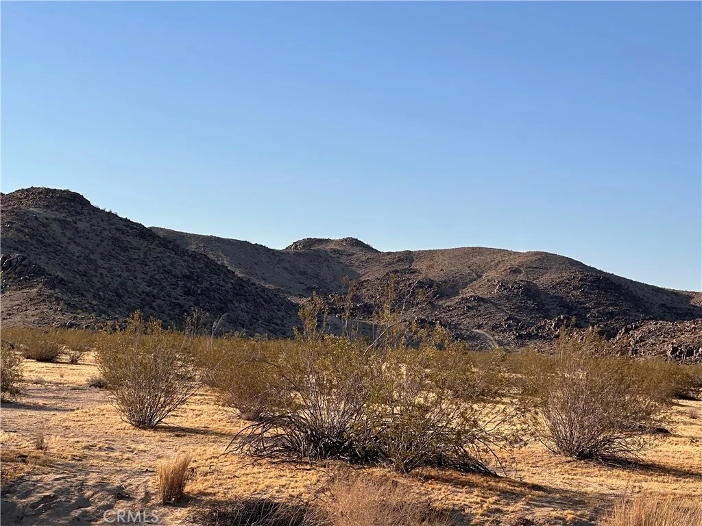 Additional image 9 of La Ferney, Joshua Tree, CA 92252