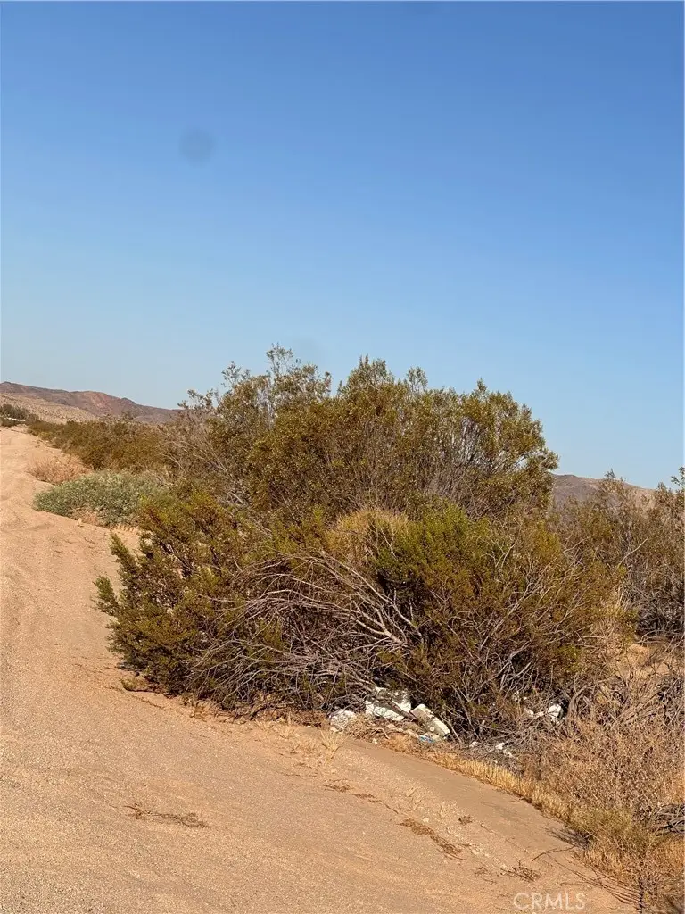 La Ferney, Joshua Tree, CA 92252