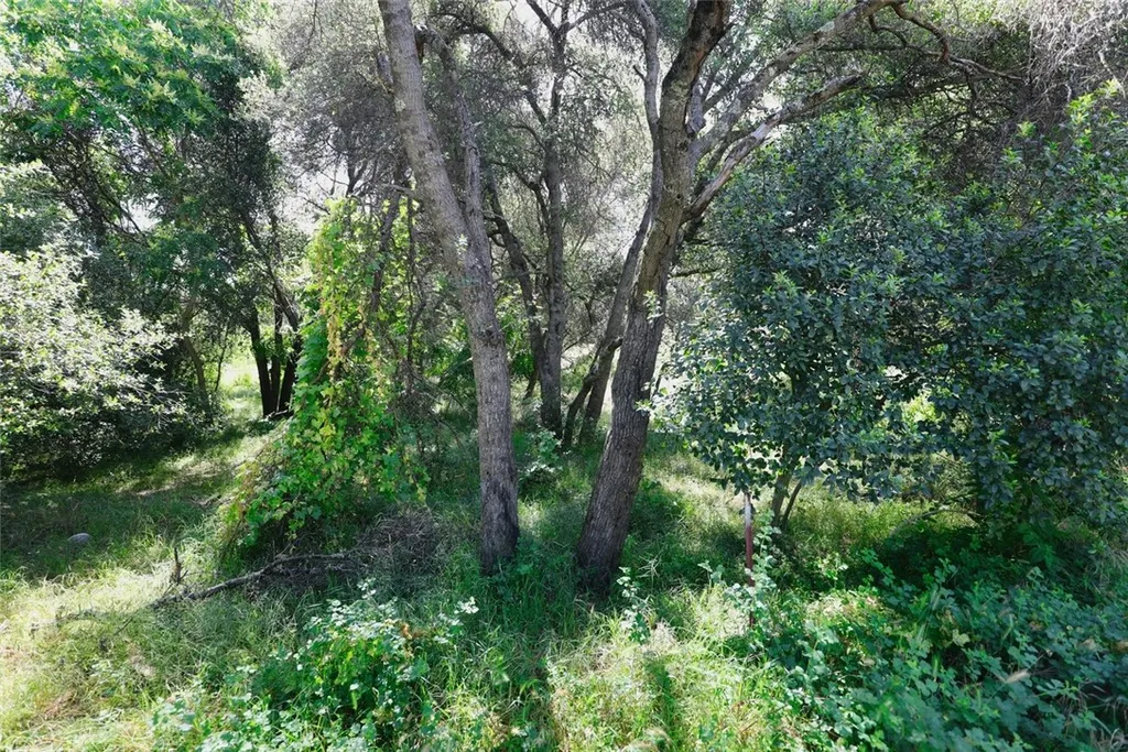 Additional image 6 of 3312 9th St, Clearlake, CA 95422
