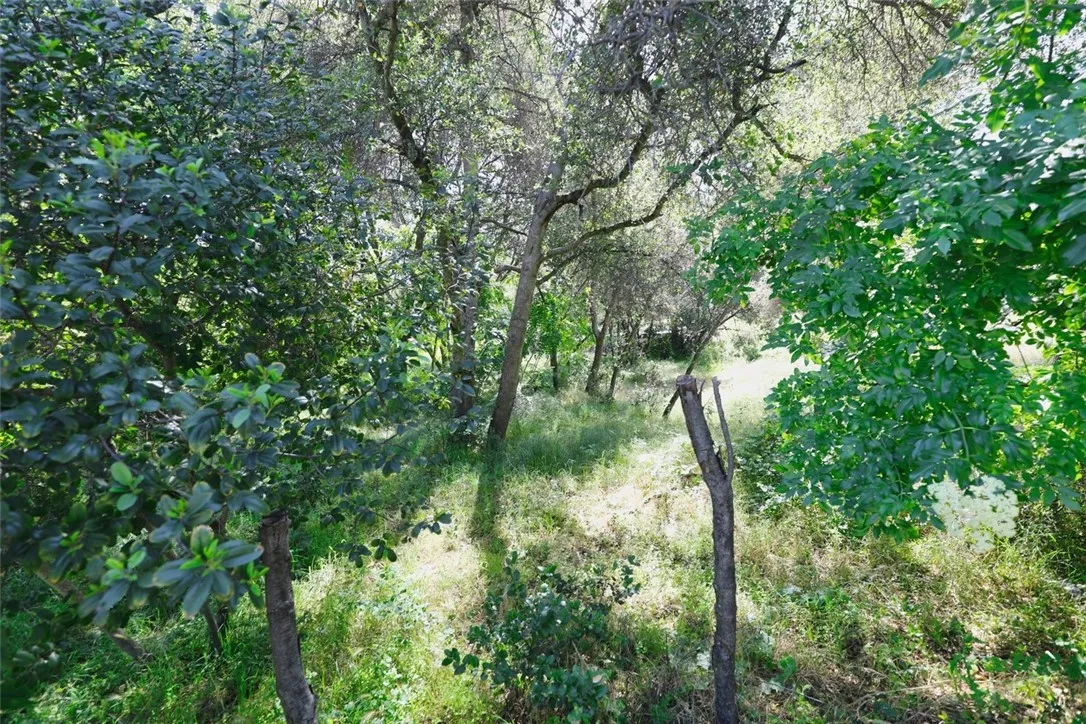 Additional image 13 of 3312 9th St, Clearlake, CA 95422