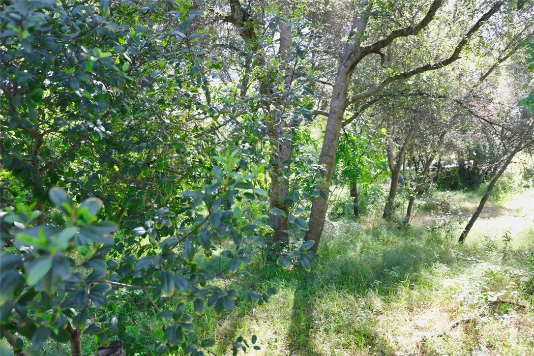 Additional image 15 of 3312 9th St, Clearlake, CA 95422