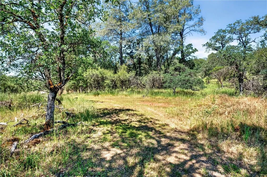 Additional image 68 of 13505 Spruce Grove Rd, Lower Lake, CA 95457