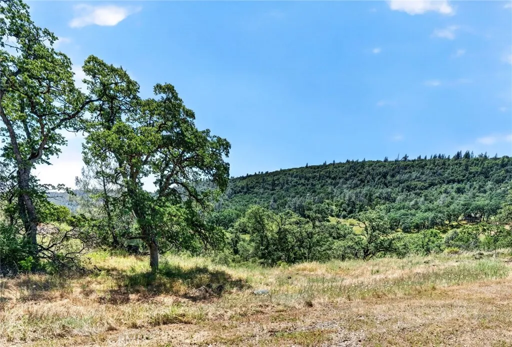 Additional image 73 of 13505 Spruce Grove Rd, Lower Lake, CA 95457