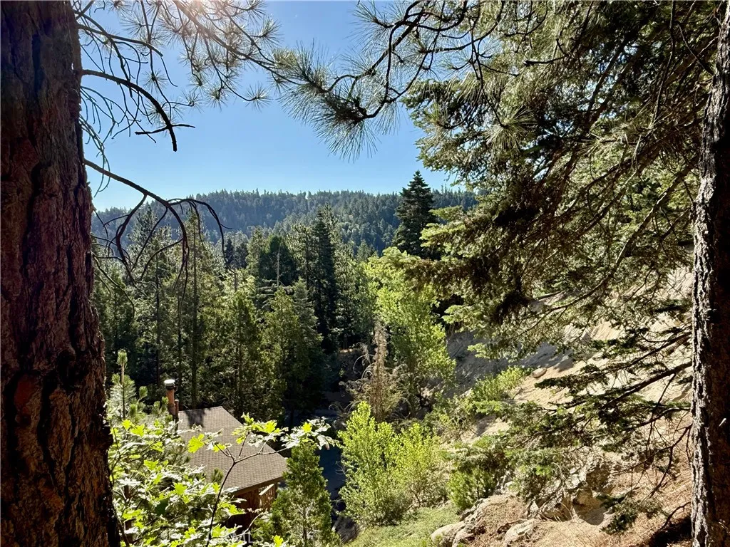 872 Sierra Vista Way Unit 30, Twin Peaks, CA 92391