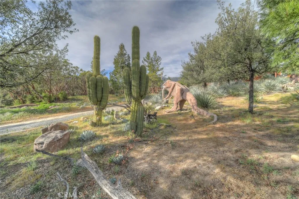 Additional image 133 of 37440 Old Forest Rd, Anza, CA 92539